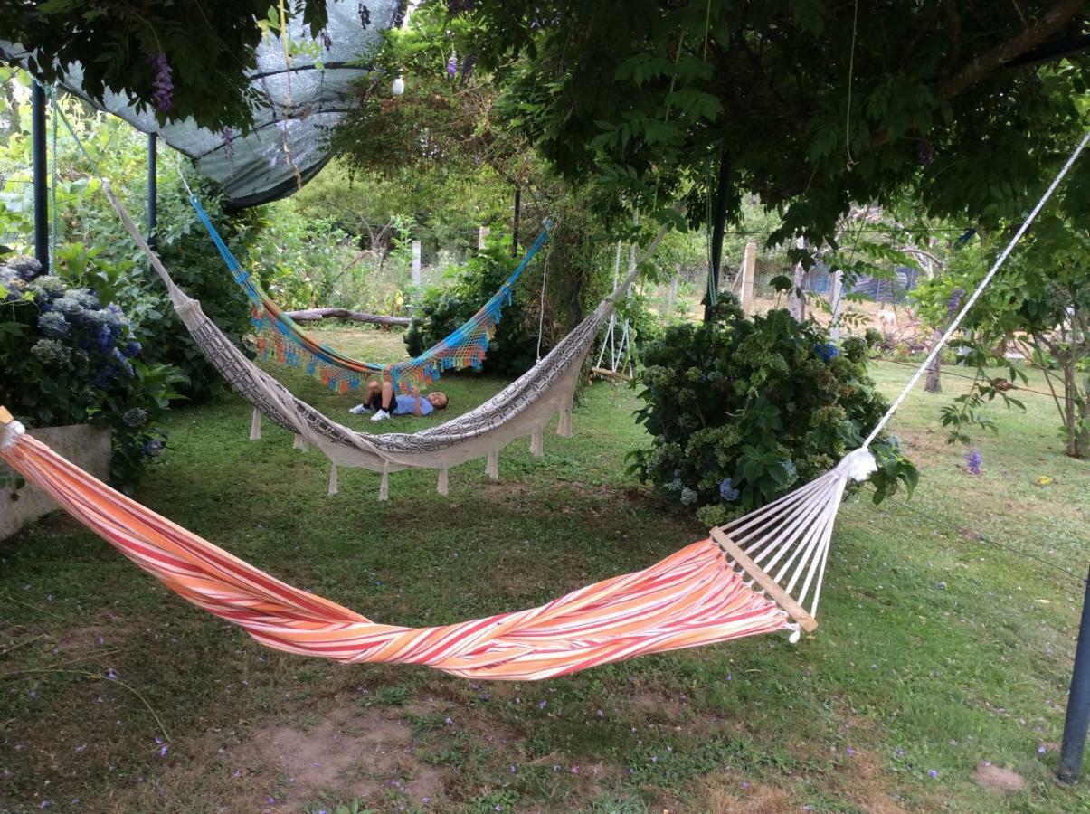 Quinta Da Ribeirinha Apartman Arouca Kültér fotó